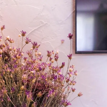 Apartament Sea Siren 1bd Near Sea Garden By Apartmax Varna